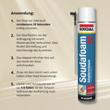 Montageschaum 750 ml – Bauschaum, Isolierschaum - Fensterfabrik24